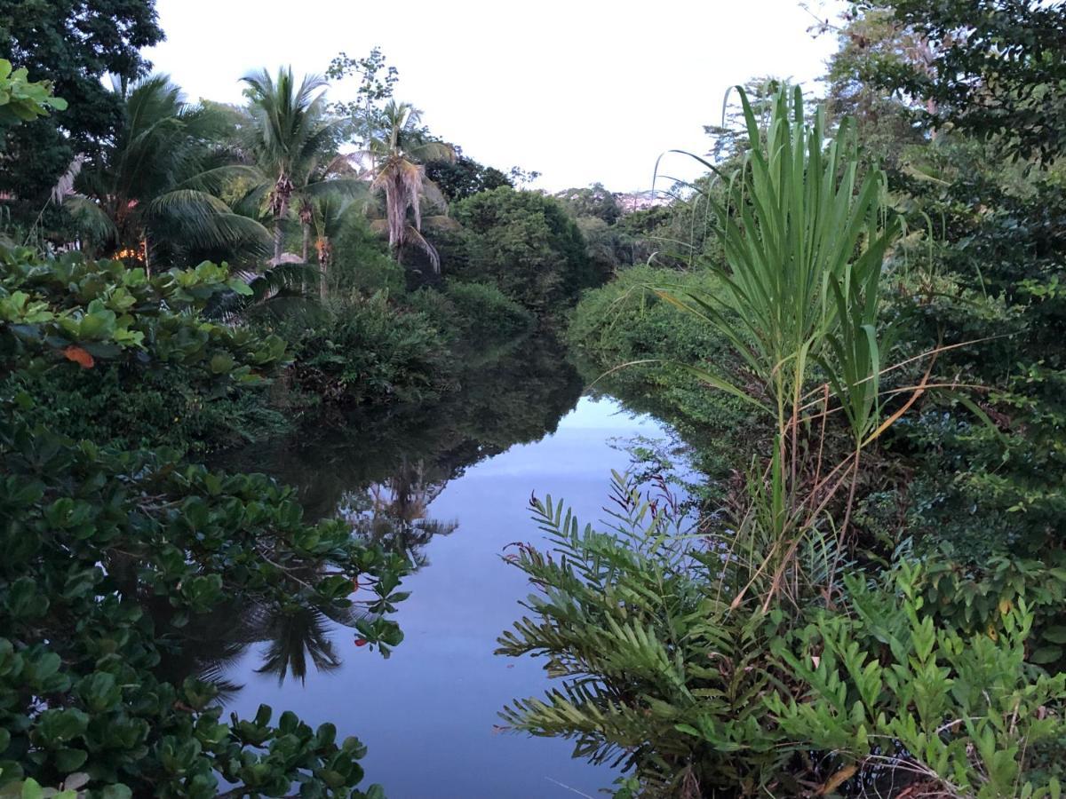 Sol Y Sombra Bed & Breakfast Bocas Town Luaran gambar