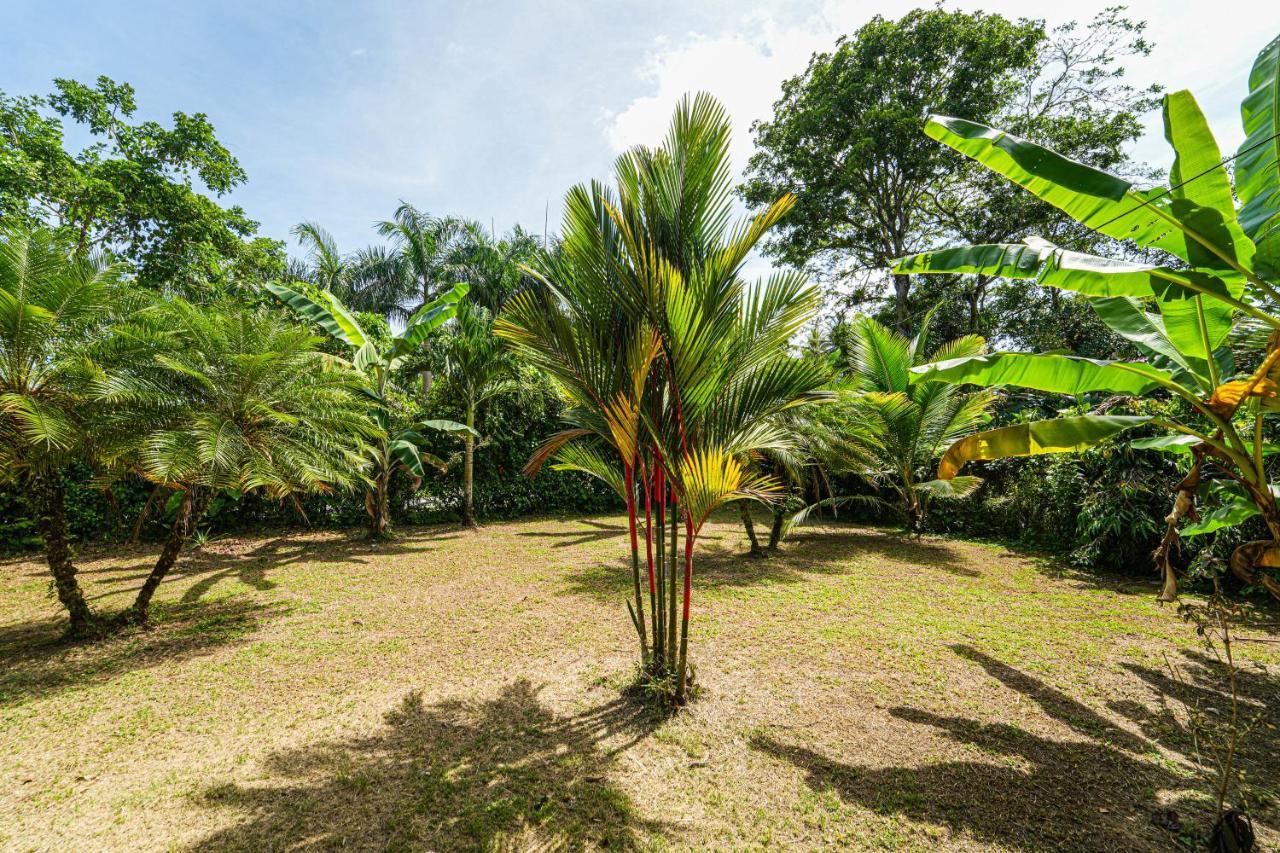 Sol Y Sombra Bed & Breakfast Bocas Town Luaran gambar